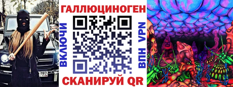 Псилоцибиновые грибы Psilocybe продажа наркотиков Циолковский